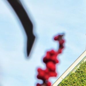 Meet your Posher, Rekha